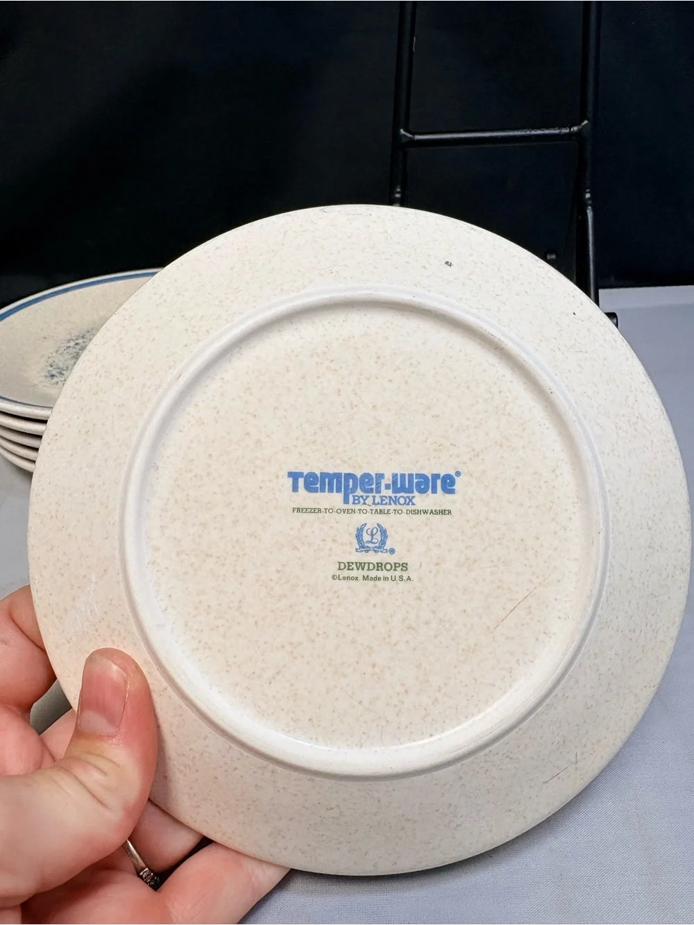 Lenox Temperware Dewdrops 6
